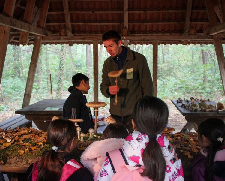 Erdők Hete a DVK-ban